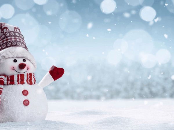 $1.99 E-Book Sale on Loophole and Other Black Rose&nbsp;Books!